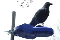 Odpudzovač vtákov Havranie holuby škorce VEĽKÉ 40cm
