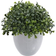 BOXWOOD DEKORÁCIA KVETINÁČA LISTOVÁ DEKORÁCIA GUĽA 18CM