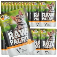 RAW PALEO VETEXPERT KRMIVO PRE MAČIATKU MORKA 24x100g