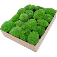 Guľovitý Moss PREMIUM Natural Green 0,12 m2