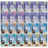 BRIT FAMILY Taniere Krmivo pre mačky MIX CHUTÍ 24x85g