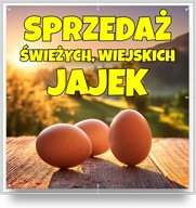 Reklamný banner Plachta SILNÁ 1x1m VÝPREDAJ ČERSTVÉ VAJCIA VAJCIA UV TLAČ