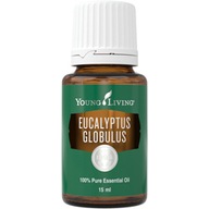 Olej * EUCALYPTUS GLOBULUS * 15 ml Young Living