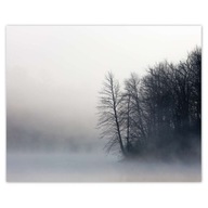 Plagáty 50x40 Misty Forest Winter