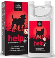 POKUŠENIE ChondroLine HelpHA JOINTS REHABILITAC 1000ml