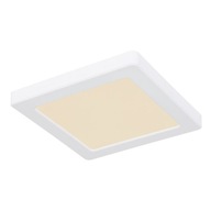 LED stropné svietidlo 12W LASSE 12380-12W Globo