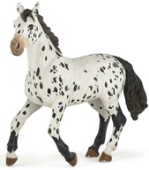 Appaloosa kôň