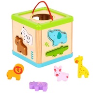 SORTER MONTESSORI POSTAVKY BLOKY KOČKA TOOKY TOY