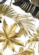 Monstera gold Plagát Plagáty B2 70x50cm Papier200