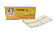 CitroActiv B6 20 kapsúl Vetfood 1 ľadvinový blister pre mačky a psy