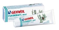 GEHWOL MINT chladivý balzam na nohy, tuba 125 ml