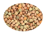 GLOPEX MIX-TABLET 1kg mix tabliet pre ryby