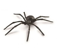 SPIDER BLACK WIdow