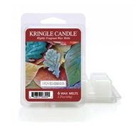 Vonný vosk Novembrrr Kringle Candle