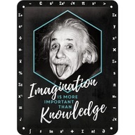 Kovový vývesný plagát Einstein Super Smart