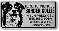 Pozor Dog Border Collie z nerezovej ocele