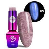 Molly Lac Night Glowing Hybrid Lak na nechty 5 ml 673