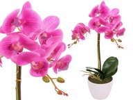 ORCHIDEA V ČRENÁRE AKO ŽIVÝ UMELÝ KVET, 2 výhonky