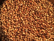 Champion Healthy Grain SORGO RED 1kg