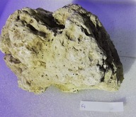 Prírodná suchá koralová hornina 3,35 kg č. G4