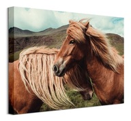 Brandan Keller Obraz dvoch koní na plátne 40x30 cm