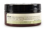 InSight MATTIFYING POMADE 90 ml