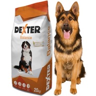 Dexter Balance Vitamins Large Breeds 20kg