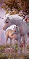 Osuška Unicorns 4412 70x140cm