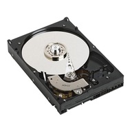 DELL # 1 TB 7,2 kB SATA 6 Gb/s 3,5 bez Hot-Plug