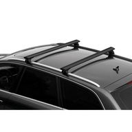 IN-RAIL BLACK - integrované zábradlie AUDI BMW CUPRA