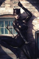 Catwoman Spot Light plagát DC Comics 61x91,5 cm