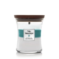 Sviečka Woodwick Stredná New Icy Woodland 275 g