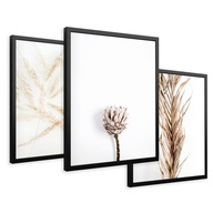 SET Zarámované obrazy boho plagáty suchá tráva triptych 43x99