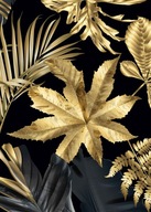 Monstera gold Plagát Plagáty B2 70x50cm Papier200