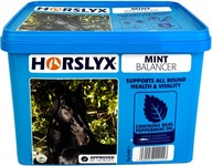 Horslyx Mint Balancer vitamínový liz pre kone Balenie: 5 kg