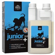 TEMPTATION Chondroline Junior+HA JOINTS 500ml