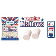 VIDAL FLAMING MARSHMALLOW MEGA BALENIE 1kg