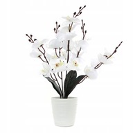 UMELÉ KVETY V ČRENÁRE Orchidea 45cm FARBY