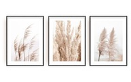 OBRAZOVÉ PLAGÁTY 3 ks Triptych BOHO GRASS A3 30x40 cm