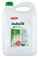 LUDWIK Prostriedok na riad MINT 5l