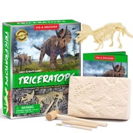 Archeologický súbor vykopávok dinosaurov Triceratops