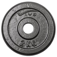 LIATIENOVÝ NÁKLADNÝ PLÁN HMOTNOSŤ LIATOVÝ DISK VIVO 29mm 2KG