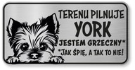 Pozor znamenie York Dog