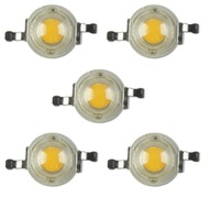 LED 1W biele Full Spectrum Bridgelux Dual 2*45m