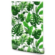 Tapeta Monstera a palmové listy /676642321