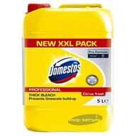 DOMESTOS PROFESSIONAL CITRUS Umývanie s dezinfekciou. 5L