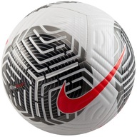 Futsalová futbalová lopta Nike FB2894-100 biela 4