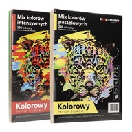 A4 kopírovací papier 80g mix intenzívny/pastel 2x250 listov