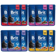 BRIT FAMILY Taniere Chunks Krmivo pre mačky MIX 12x100g