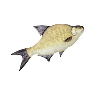 Vankúš maskot Gaby the BREAM, 65 cm